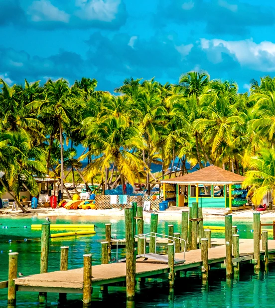 Nassau Private Transportation Services