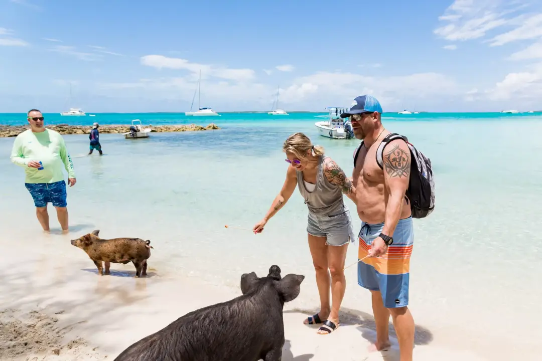 rose-island-swimming-pigs-bahamas