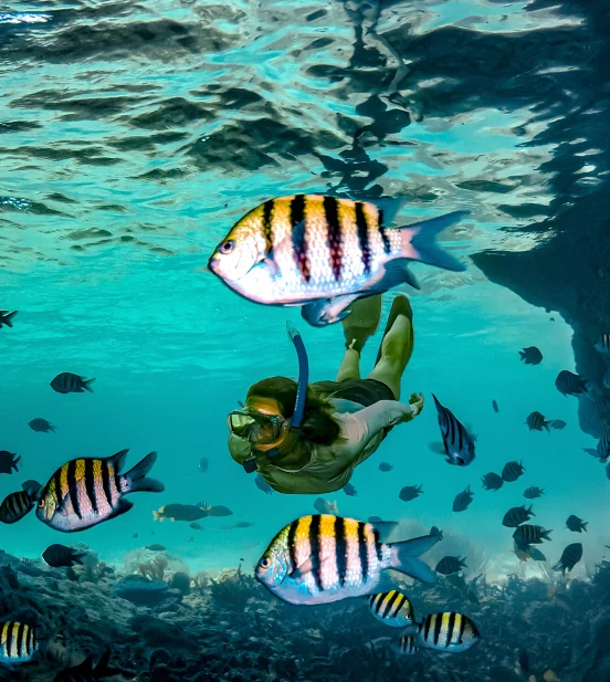 snorkeling Bahamas